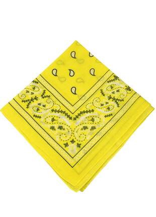 Compartilhar:  lenço bandana varias estampas rock fitness sports ref:239 (amarelo)